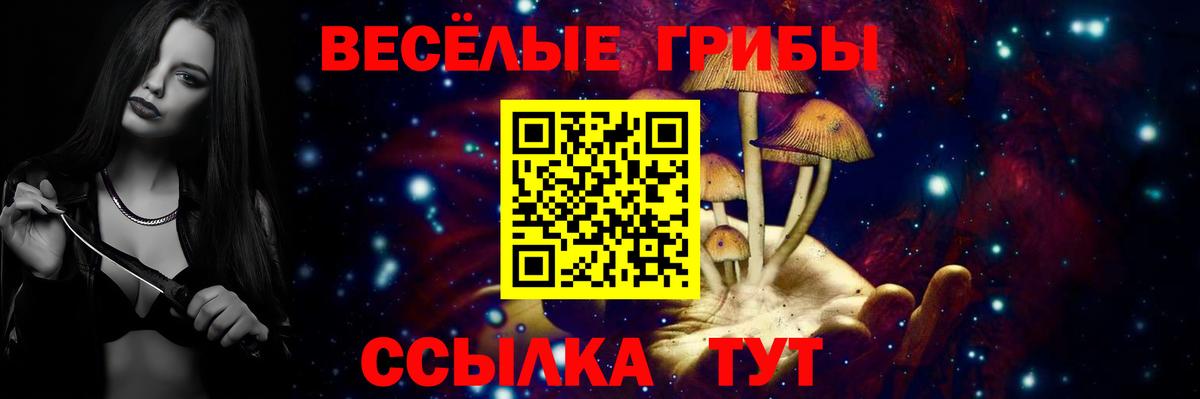 купить наркотики сайты  Псилоцибиновые грибы Magic Shrooms  Вход с VPN  Псилоцибиновые грибы MAGIC MUSHROOMS  Касимов 